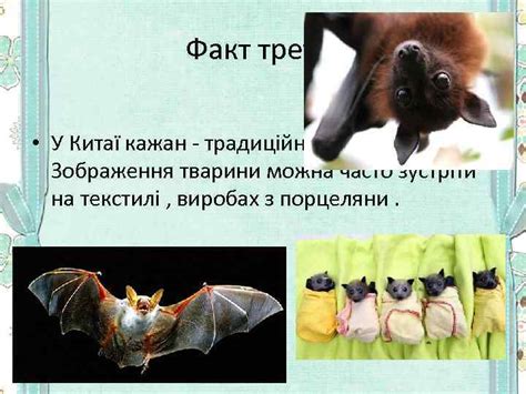 Цікаві факти про Китай Факт перший