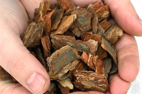 Landscape Bark Is Effective Solution for a Beautiful Garden – Lopart