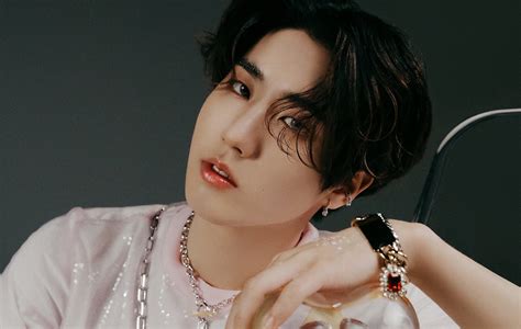 alucinantes  jugosos datos sobre han stray kids fan world