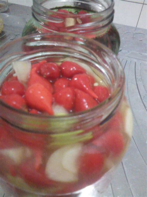 Receita De Pimenta Em Conserva No óleo 4