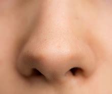 My Nose Free Stock Photo - Public Domain Pictures