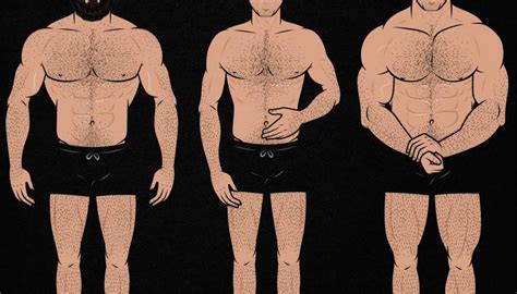 Greek Aesthetic Body Measurement - Body Measurement Info