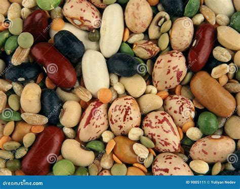 bonen stock afbeelding image  bruin sluit kleur voedsel