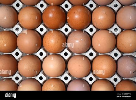 egg panel top view background stock photo alamy
