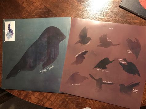 The emotional What Remains of Edith Finch just came in! : r/VGMvinyl