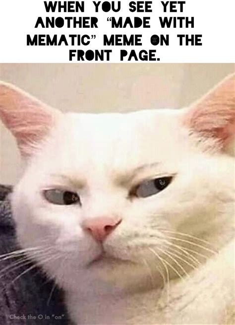 That cat has seen some sh*t : memes
