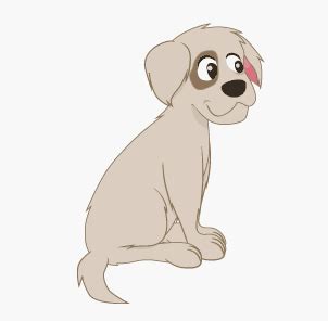 Hella Heaven: How to get rid of the fleas and why sometimes they never