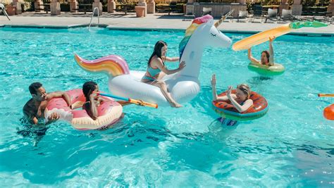 Top View of People in the Swimming Pool · Free Stock Photo