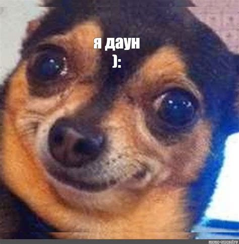Meme: "я даун ):" - All Templates - Meme-arsenal.com