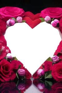 photo frame insert  id