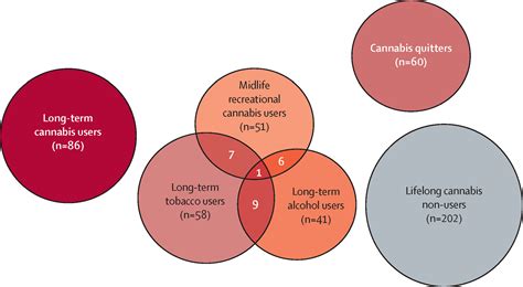 Alana Cho Leak: The Long-Term Effects on Future Generations - sct14wn