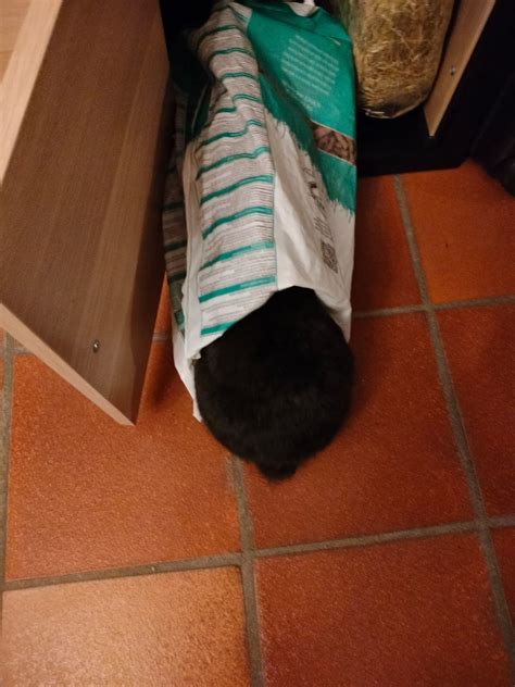 The surprising way Angel vue caught a package thief red handed 19