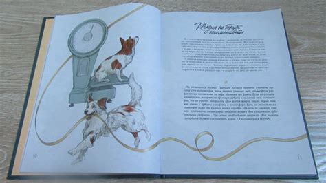 Книга: Животные-космонавты. Первые покорители космоса - Дарья Чудная ...