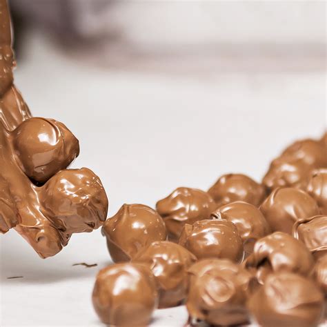 Classic Marc de Champagne Truffles 185g - Holdsworth Chocolates