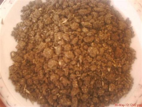 Sunflower meal | tradekorea