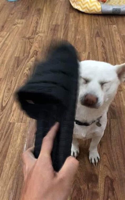 Tổng hợp meme đánh nhau vui vẻ, hài hước