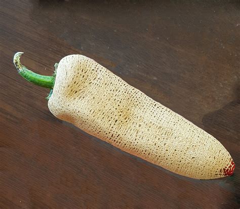 Jalapeno Pepper Seeds