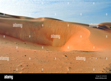 Wind-formed patterns in this collection of sand in the Arabian Desert ...