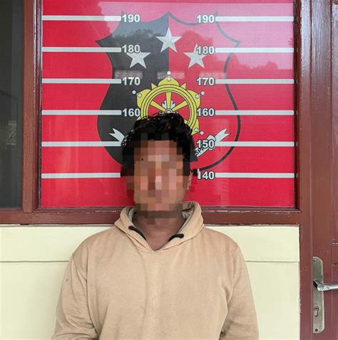 polsek loa janan tangkap pelaku pencabulan terhadap balita sumber