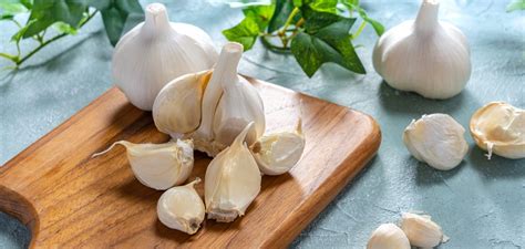 5 Deliciously Potent Garlic Recipes To Fight Colds & Flu - Better By Dr ...