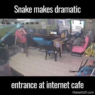 snake attack on Make a GIF