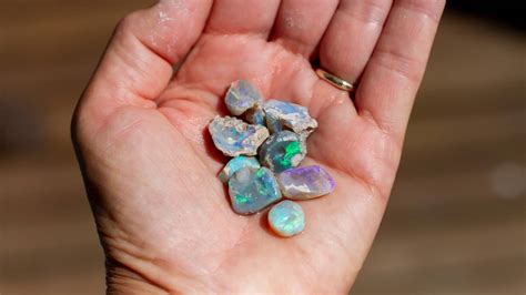 outback opal  adventure  seasons hotel sydney