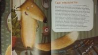 Книга: Я лисица - Ольга Волкова. Купить книгу, читать рецензии | Лабиринт
