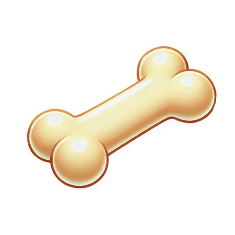 Hueso De Piernas