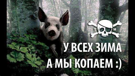 Коп в Сочи - YouTube