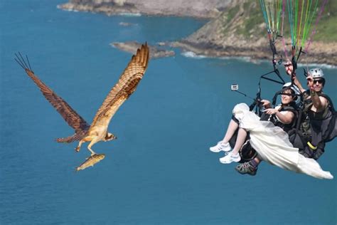 Самые прикольные фото парашютистов