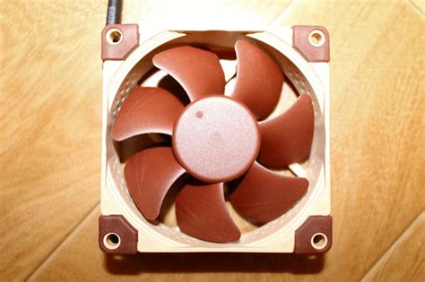 Вентилятор для корпуса Noctua NF-A8-PWM — купить в интернет-магазине ...