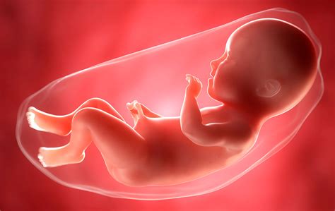 week  week pregnancy guide  weeks pregnant goodtoknow