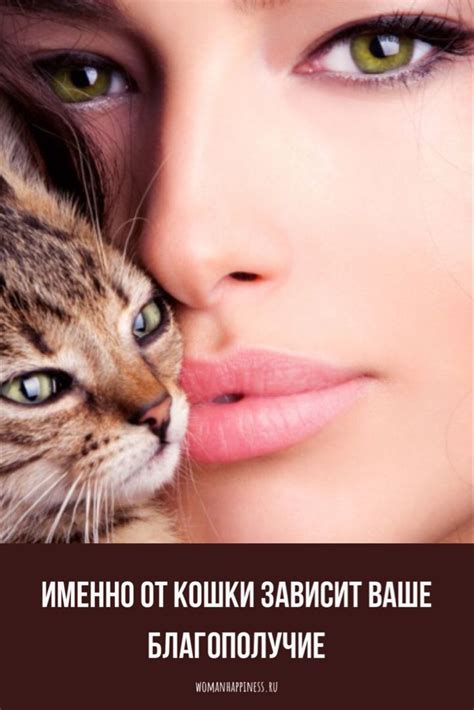 ИМЕННО ОТ КОШКИ ЗАВИСИТ ВАШЕ БЛАГОПОЛУЧИЕ. НЕ УДИВЛЯЙТЕСЬ, ЭТО ПРАВДА ...