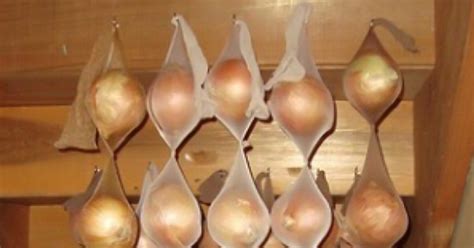 Как хранить продукты