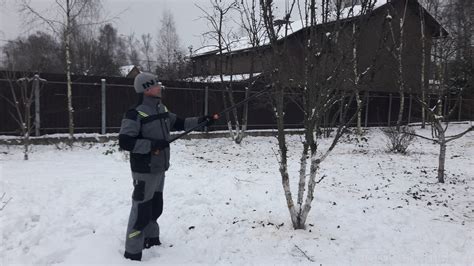 Услуги по обрезке плодовых деревьев
