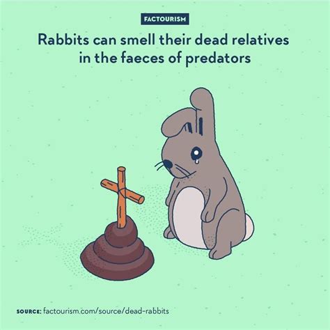 illustrated     fascinating facts   world bored