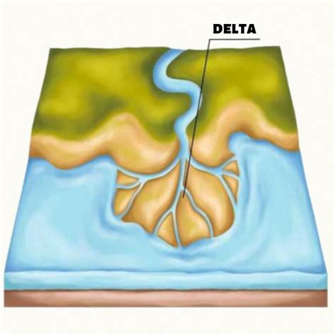 O Que É Delta De Um Rio