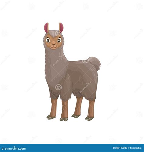 Grey Lama Guanaco Alpaca Llama Cartoon Animal Icon Stock Vector