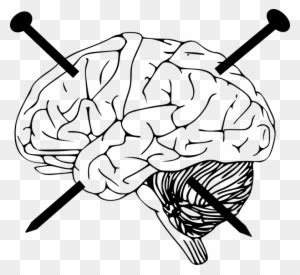 outline  brain clip art  clker brain black  white