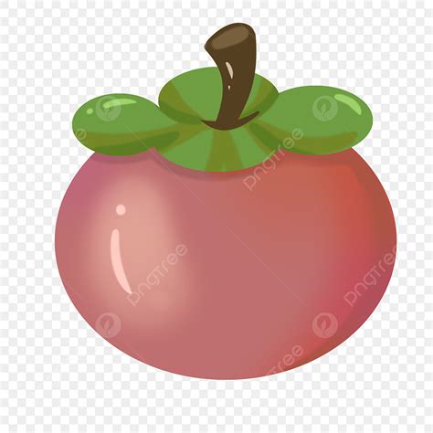 mangosteen fruit hd transparent fruit mangosteen cartoon illustration
