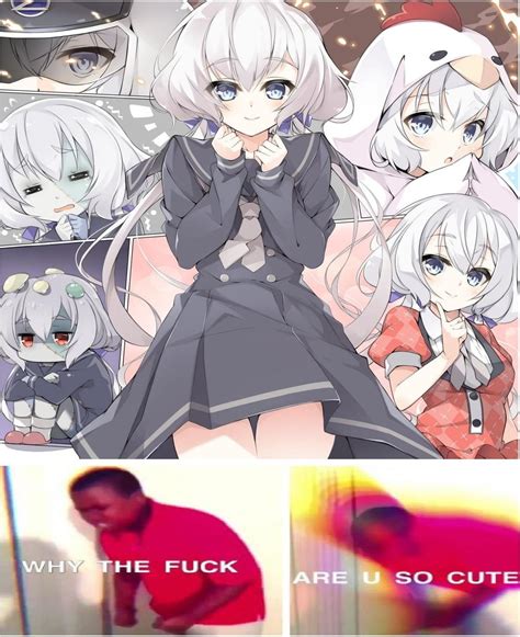 Top 10 things scientists can't explain : r/KonnoJunko