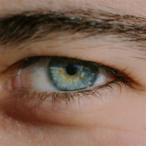 Qual A Cor De Olhos Mais Rara Do Mundo - Estas são as 5 cores de olhos mais raras do mundo - Correio de Minas