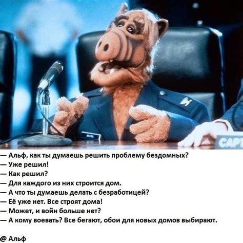 Позитив и юмор в смешных фотографиях XIX