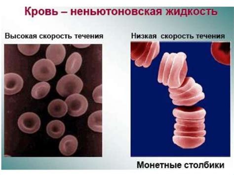 Механика и свойства жидкостей - online presentation