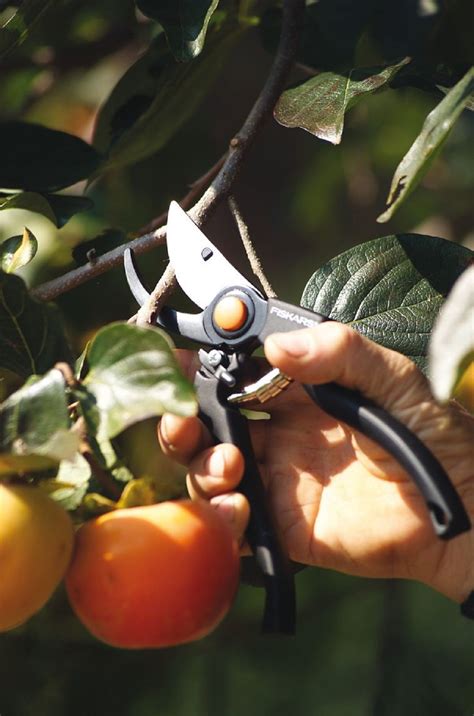 Foarfeca 111960 Fiskars Pro P90