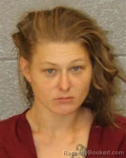 Hayley Nicole Purvis Mugshot & Arrest Info | Mecklenburg County, NC