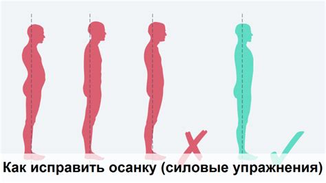 Как исправить осанку (силовые упражнения)