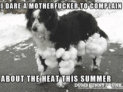 Do Not Complain About The Heat | DumbFunnyDrunk.com