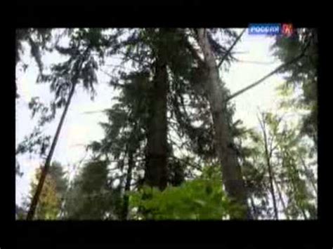 Илья Репин и Наталья Нордман-Северова - "Больше, чем любовь" - YouTube