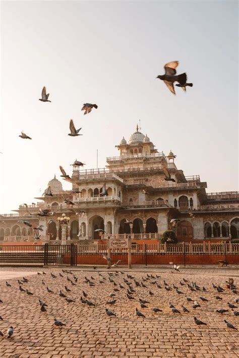 india trip  taxi service  jaipur car rental